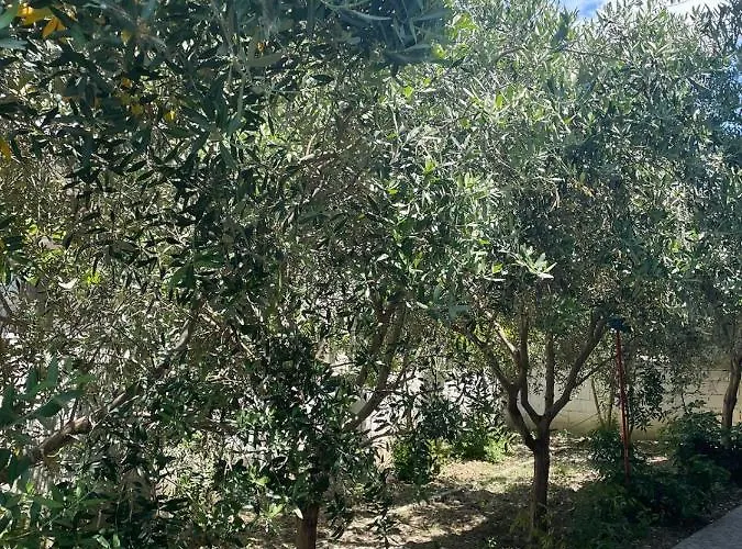 Feriehus Rent Loren Vlorë