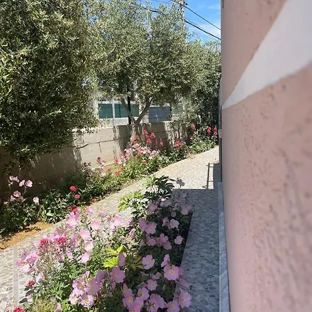 Rent Loren Holiday home