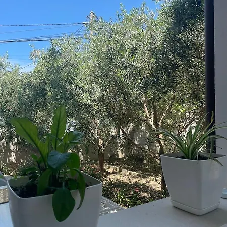 度假居 Rent Loren Vlorë