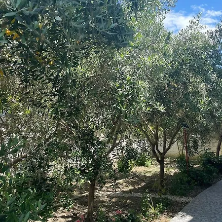 度假居 Rent Loren Vlorë
