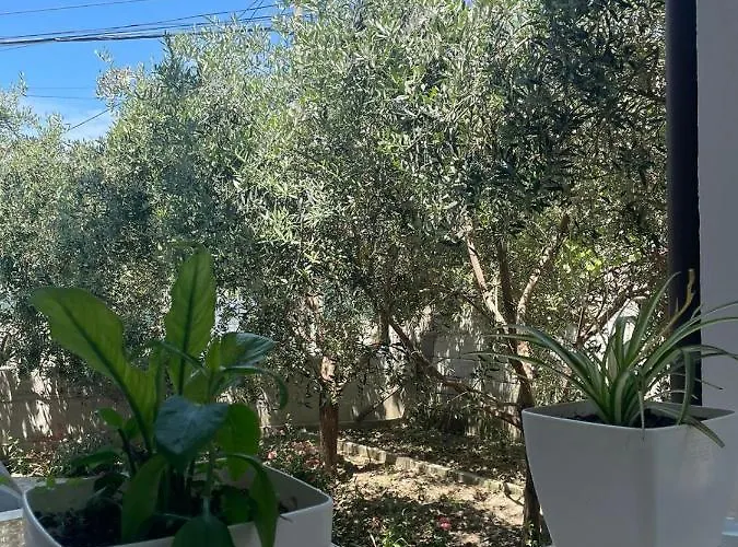 Nyaraló Rent Loren Vlora